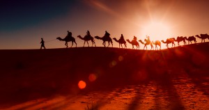 Camel caravan going through the desert